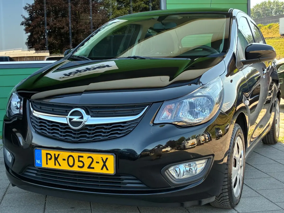 1.0 ecoFLEX Edition|2e Eigenaar|Airco|CruiseControl|Nieuwe APK|NAP|