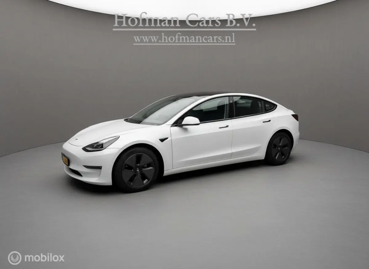 Long Range Dual Motor AWD 75 kWh – 2021 – Pearl White – Fabrieksgarantie - Basic Autopilot