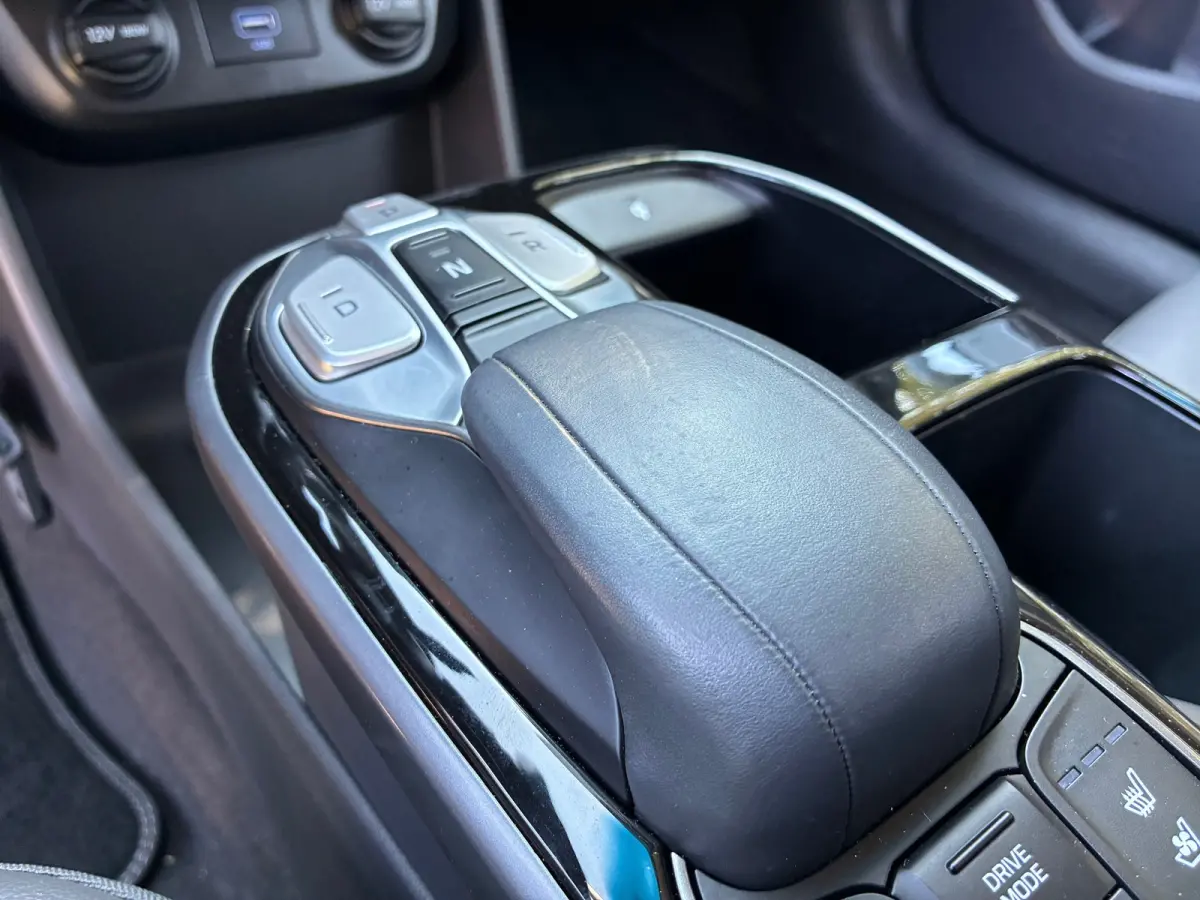 Premium EV 38 kWh | SOH 100 % + Leder + Stoel Verw/Koel nu € 16.975,-!!!