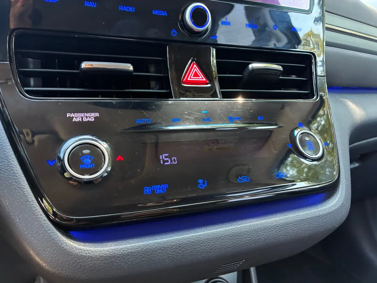 Premium EV 38 kWh | SOH 100 % + Leder + Stoel Verw/Koel nu € 16.975,-!!!
