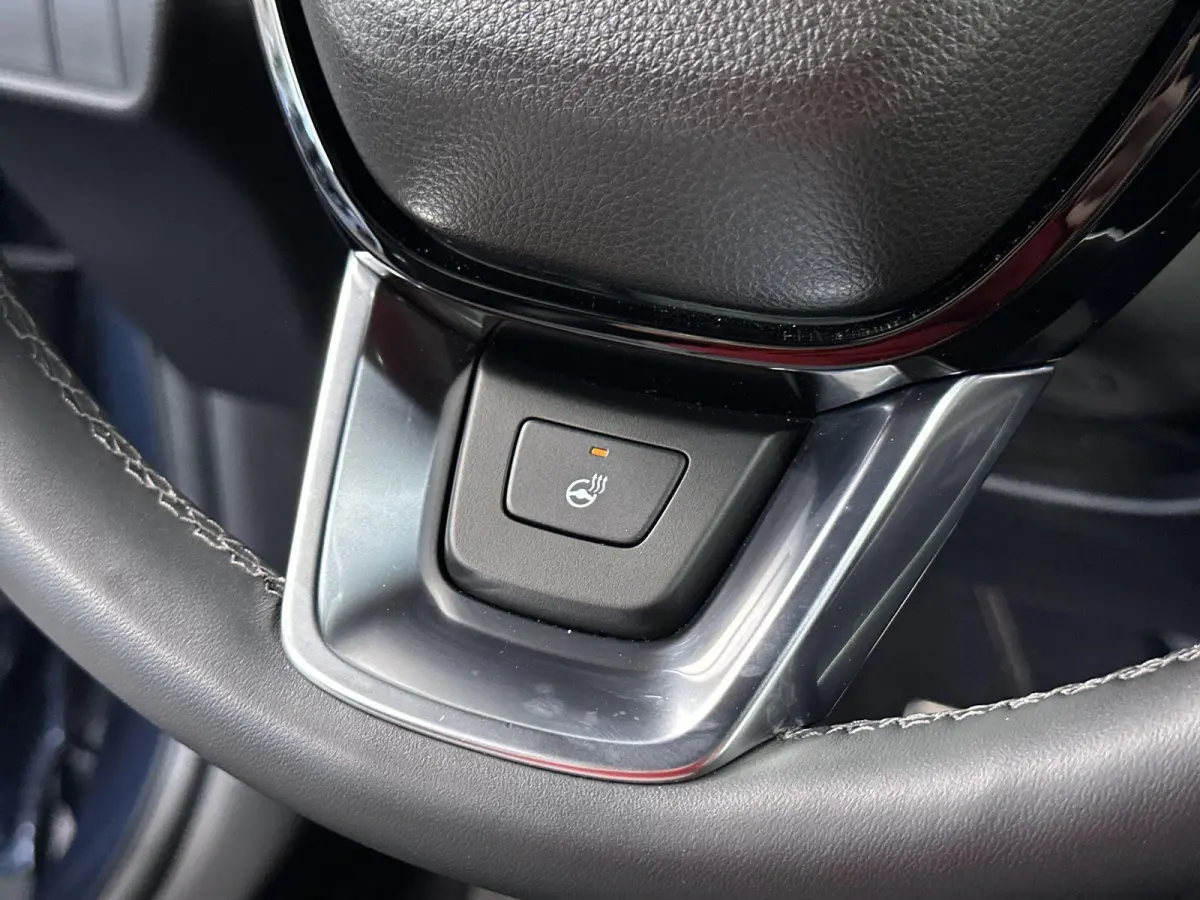 2.0 e:PHEV Advance Tech Automaat | Leder | Pano