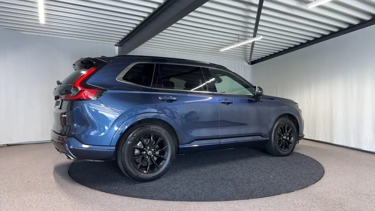 2.0 e:PHEV Advance Tech Automaat | Leder | Pano