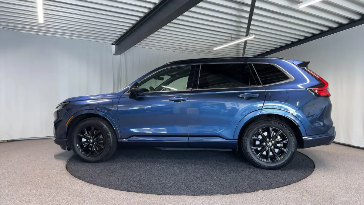 2.0 e:PHEV Advance Tech Automaat | Leder | Pano