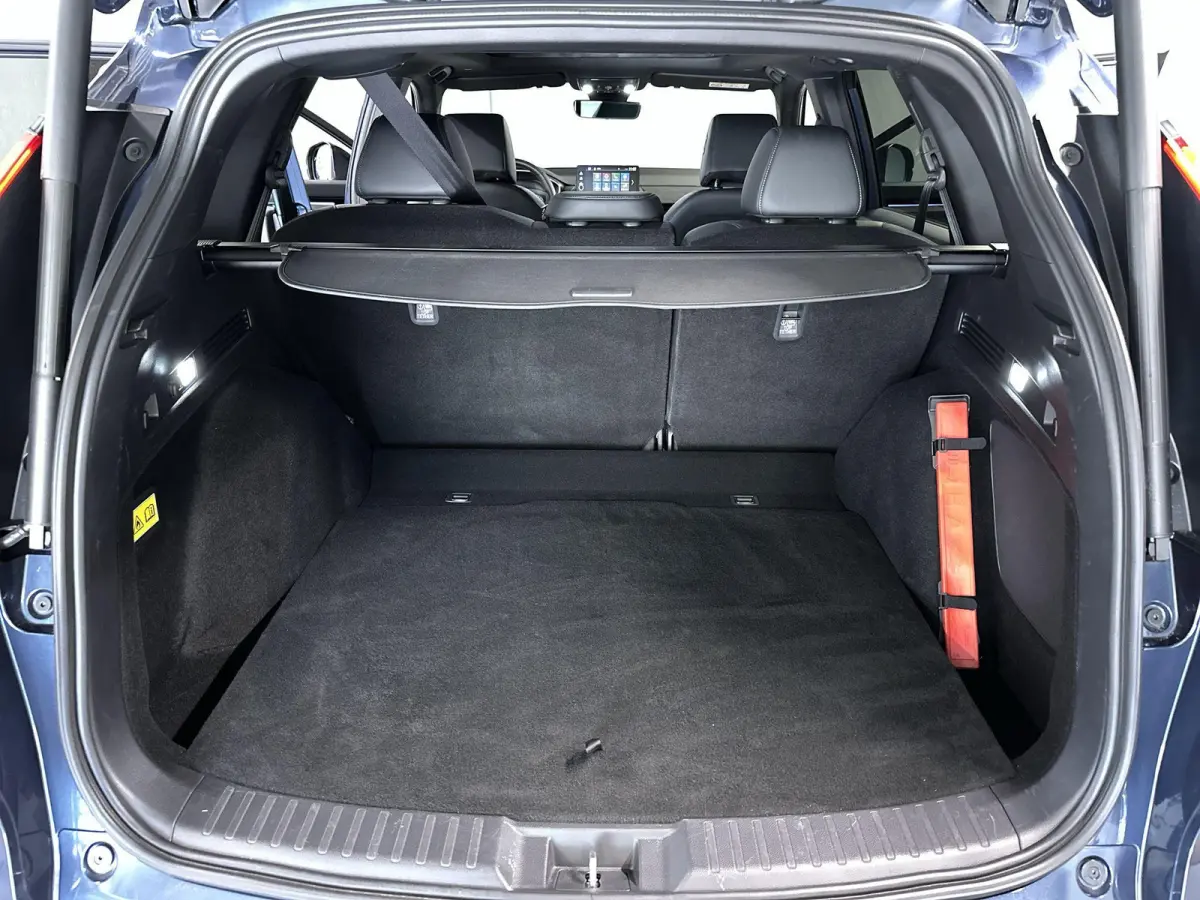 2.0 e:PHEV Advance Tech Automaat | Leder | Pano