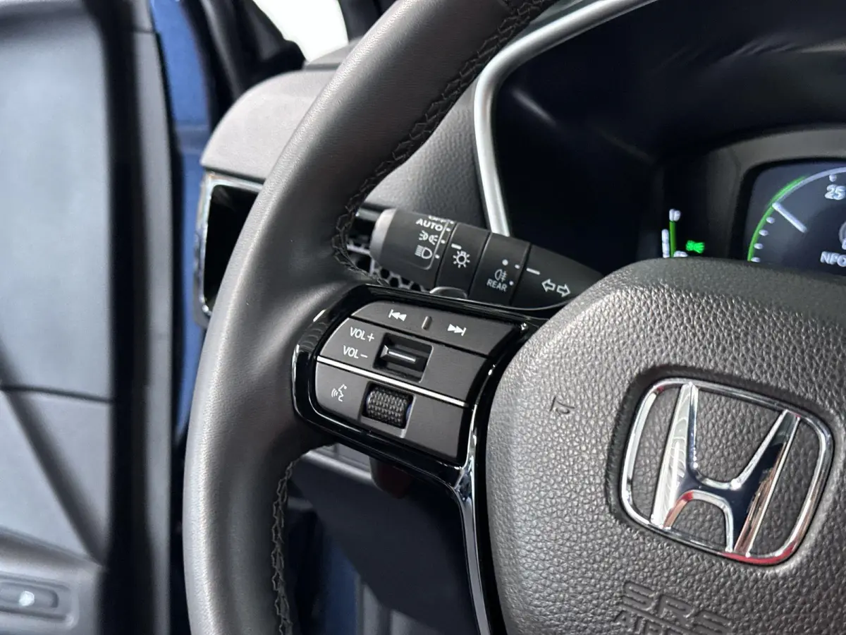 2.0 e:PHEV Advance Tech Automaat | Leder | Pano