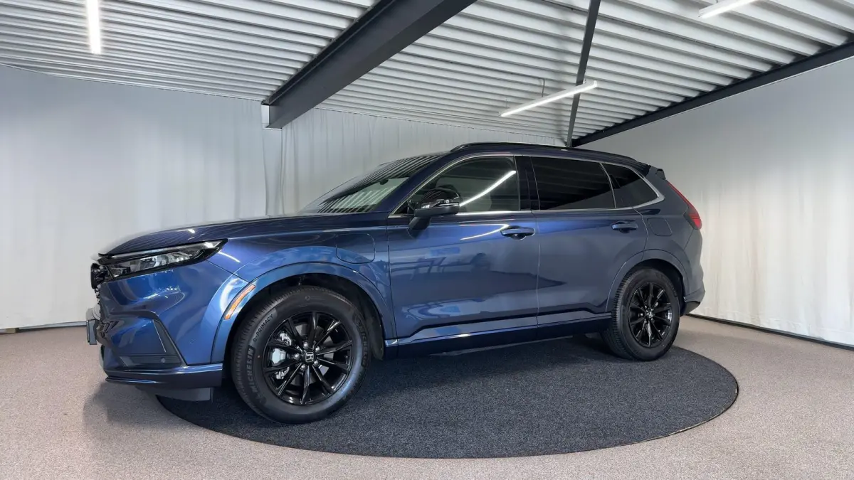 2.0 e:PHEV Advance Tech Automaat | Leder | Pano