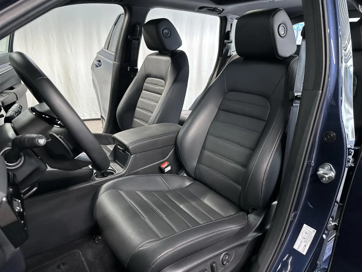 2.0 e:PHEV Advance Tech Automaat | Leder | Pano