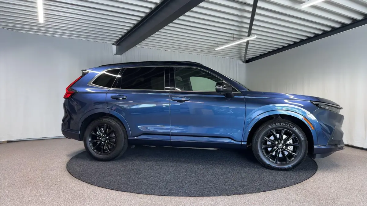 2.0 e:PHEV Advance Tech Automaat | Leder | Pano