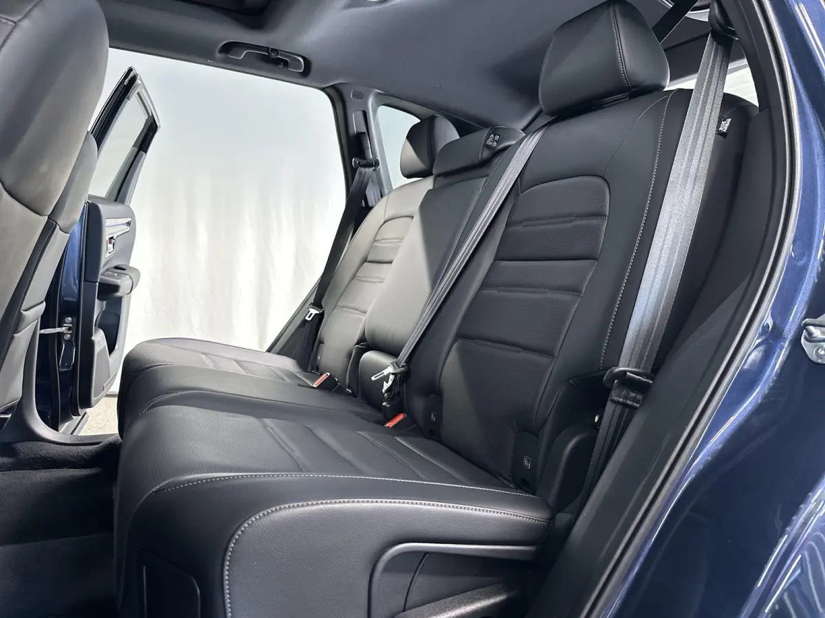 2.0 e:PHEV Advance Tech Automaat | Leder | Pano