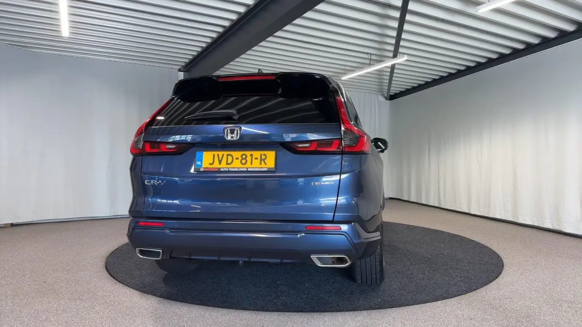 2.0 e:PHEV Advance Tech Automaat | Leder | Pano