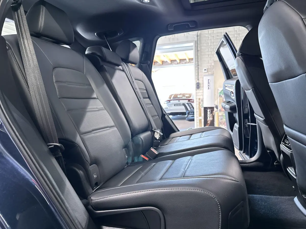 2.0 e:PHEV Advance Tech Automaat | Leder | Pano