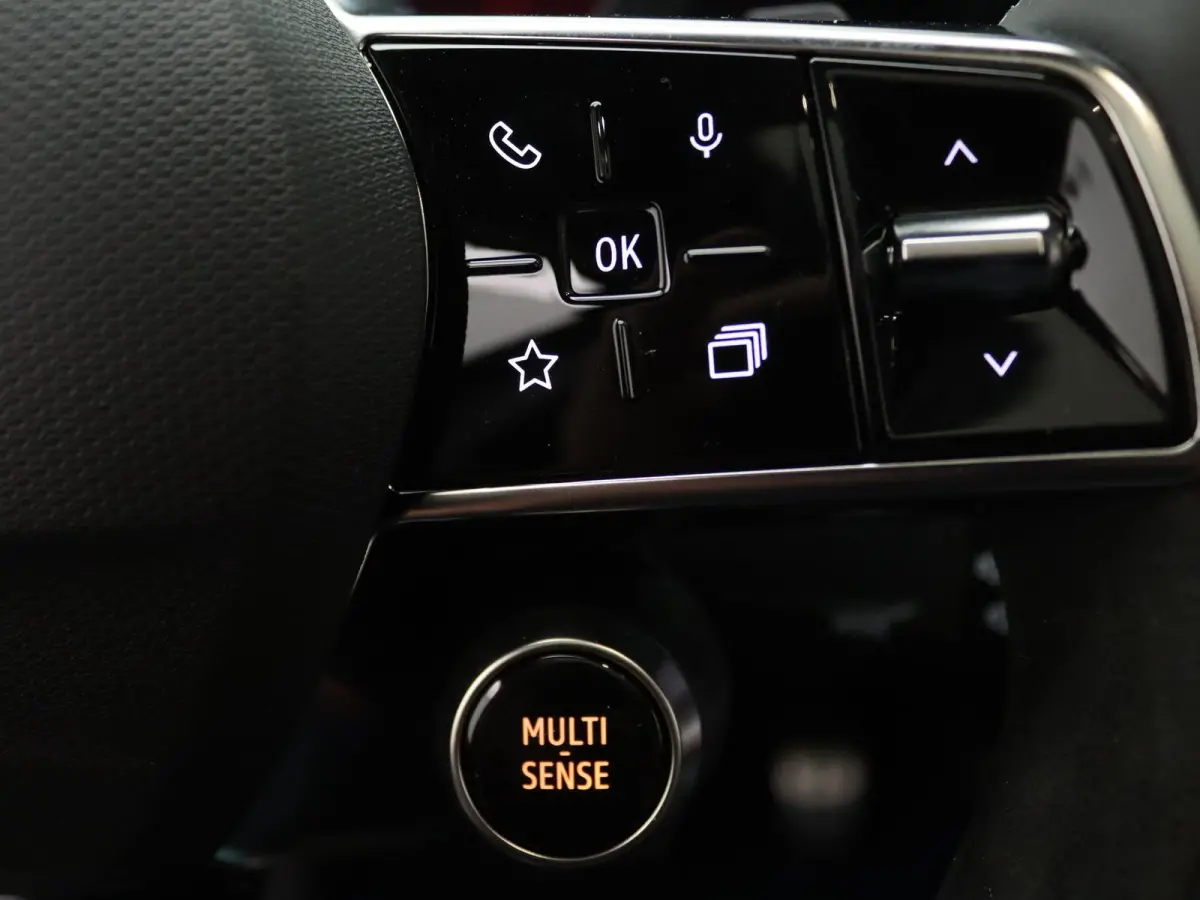 EV87 long range esprit Alpine Apple Carplay/Android Auto | Panoramadak