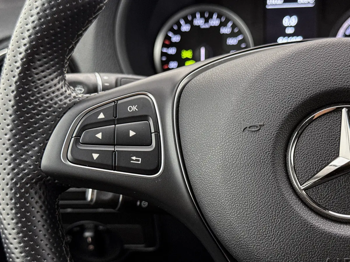 Lang 66 kWh Led 266km actieradius Navigatie Climate control Betimmering