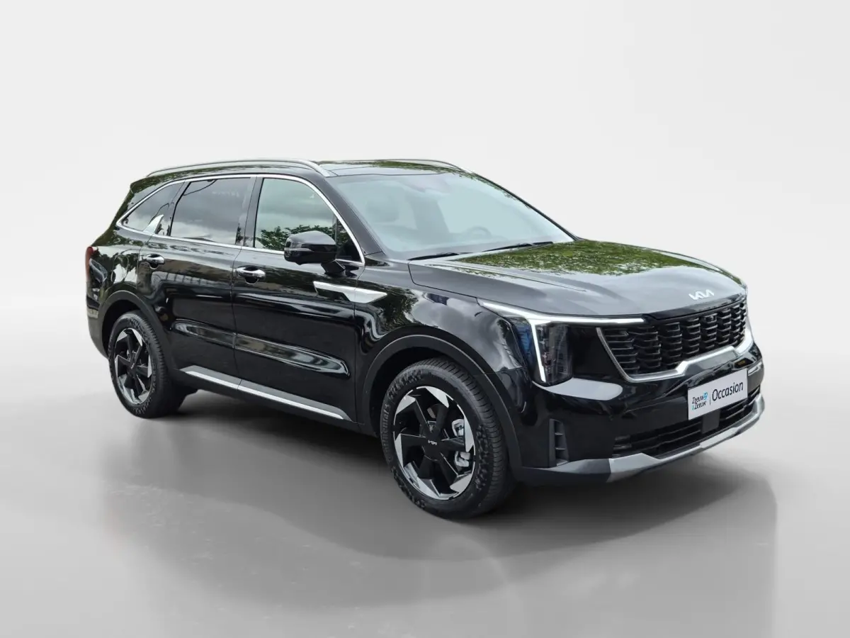 1.6 T-GDi Plug-in Hybrid 4WD DynamicPlusLine 7p | Climate Control | Cruise Control | Navigatie | 360° Camera | 7-Zits | Stoelverwarming | Panorama Dak | Elektrische Kofferklep |