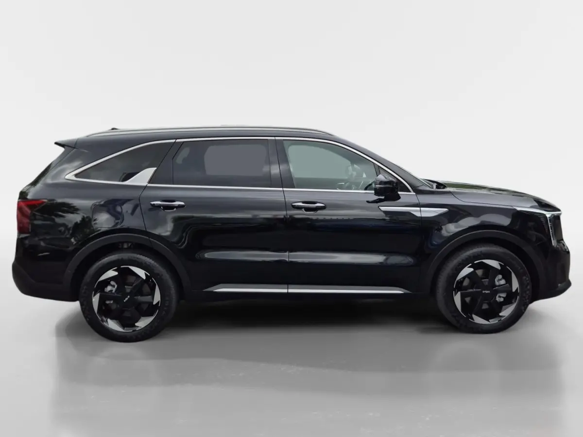 1.6 T-GDi Plug-in Hybrid 4WD DynamicPlusLine 7p | Climate Control | Cruise Control | Navigatie | 360° Camera | 7-Zits | Stoelverwarming | Panorama Dak | Elektrische Kofferklep |