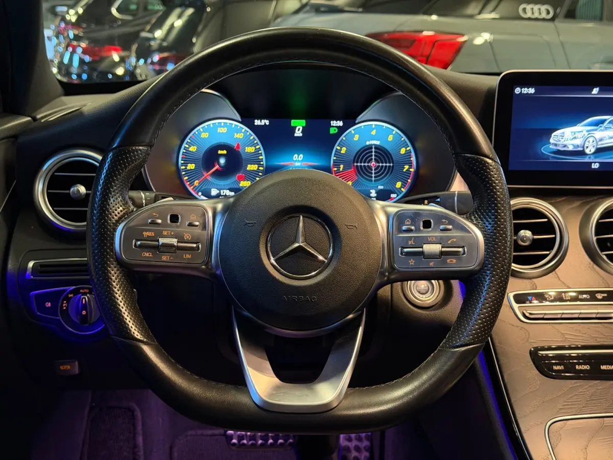 200 AMG|BURMESTER|SFEERVERLICHTING|VOL