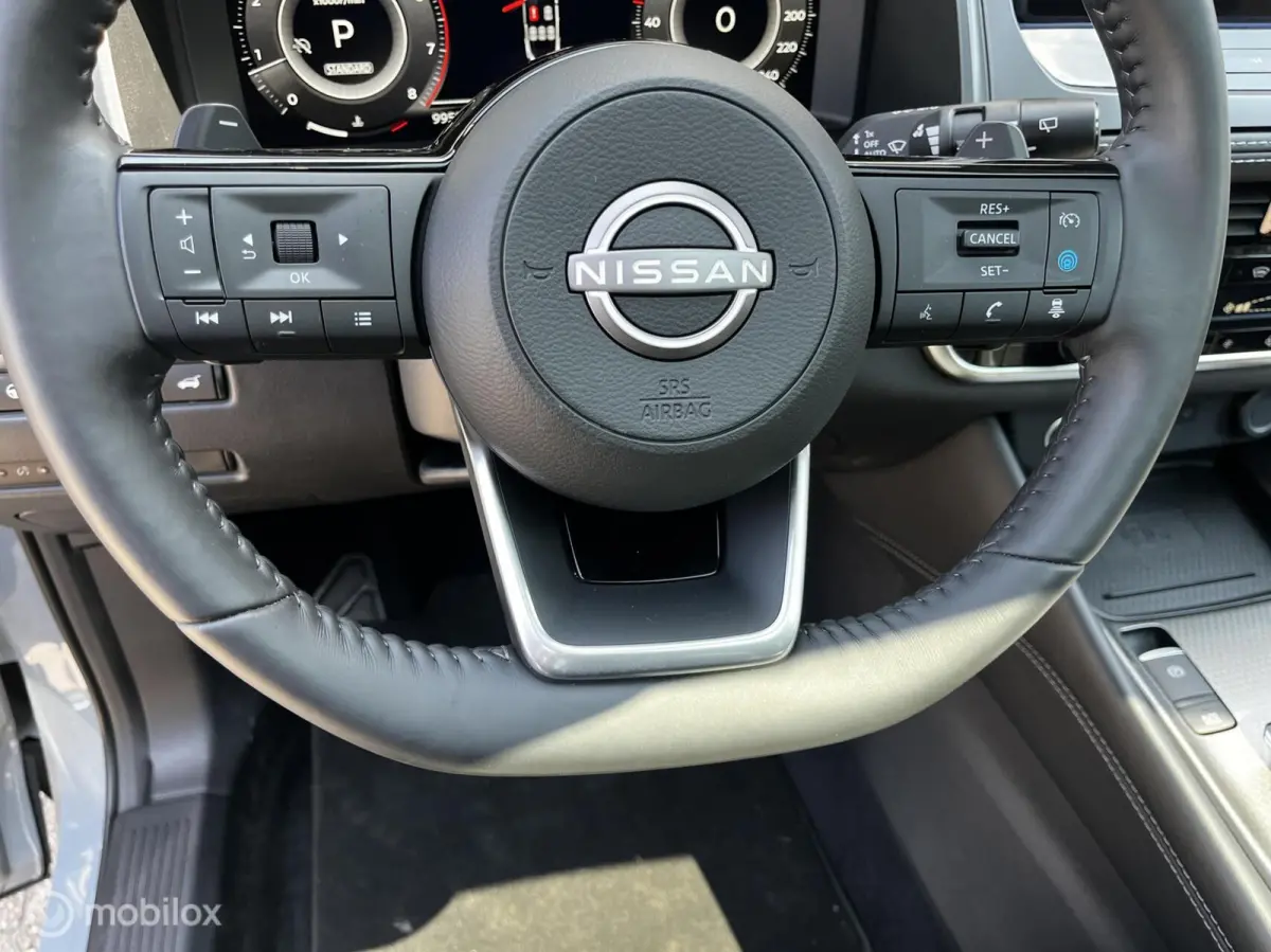 1.3 MHEV Xtronic PANODAK/AUTOMAAT