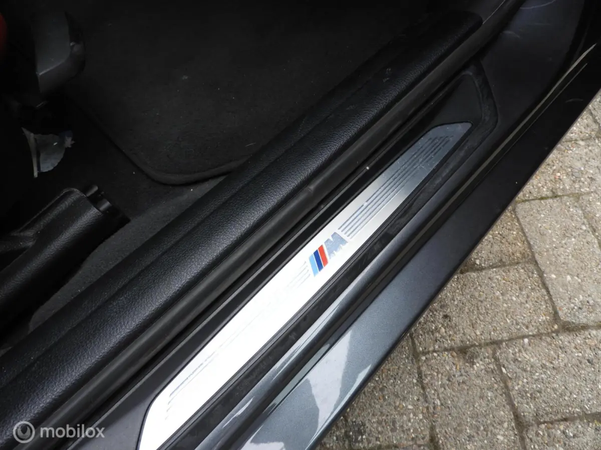 318i M Pakket , Vol leder