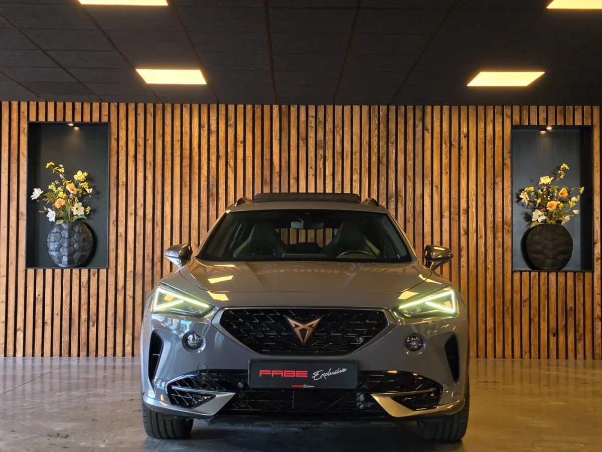 2.0 TSI 4DRIVE l Nardo l Pano l Carplay l Kuipstoel l Beats