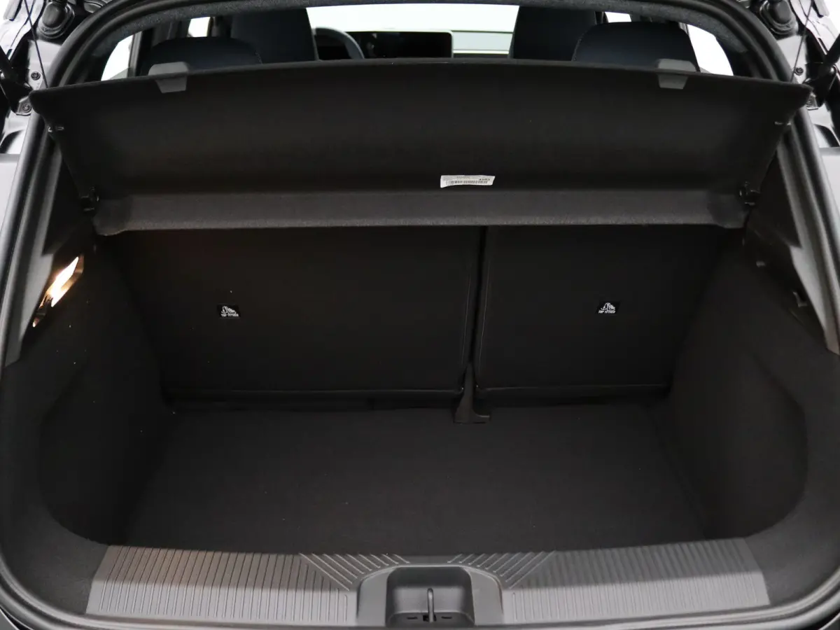 GT 52 kWh Premium Devialet Audio | 19"Snowflake Diamantee