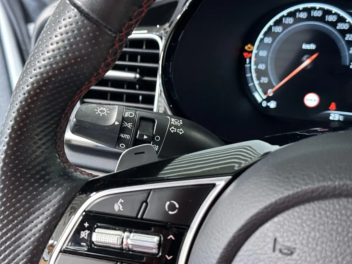 1.6 T-GDI GT Automaat | LED | Memory