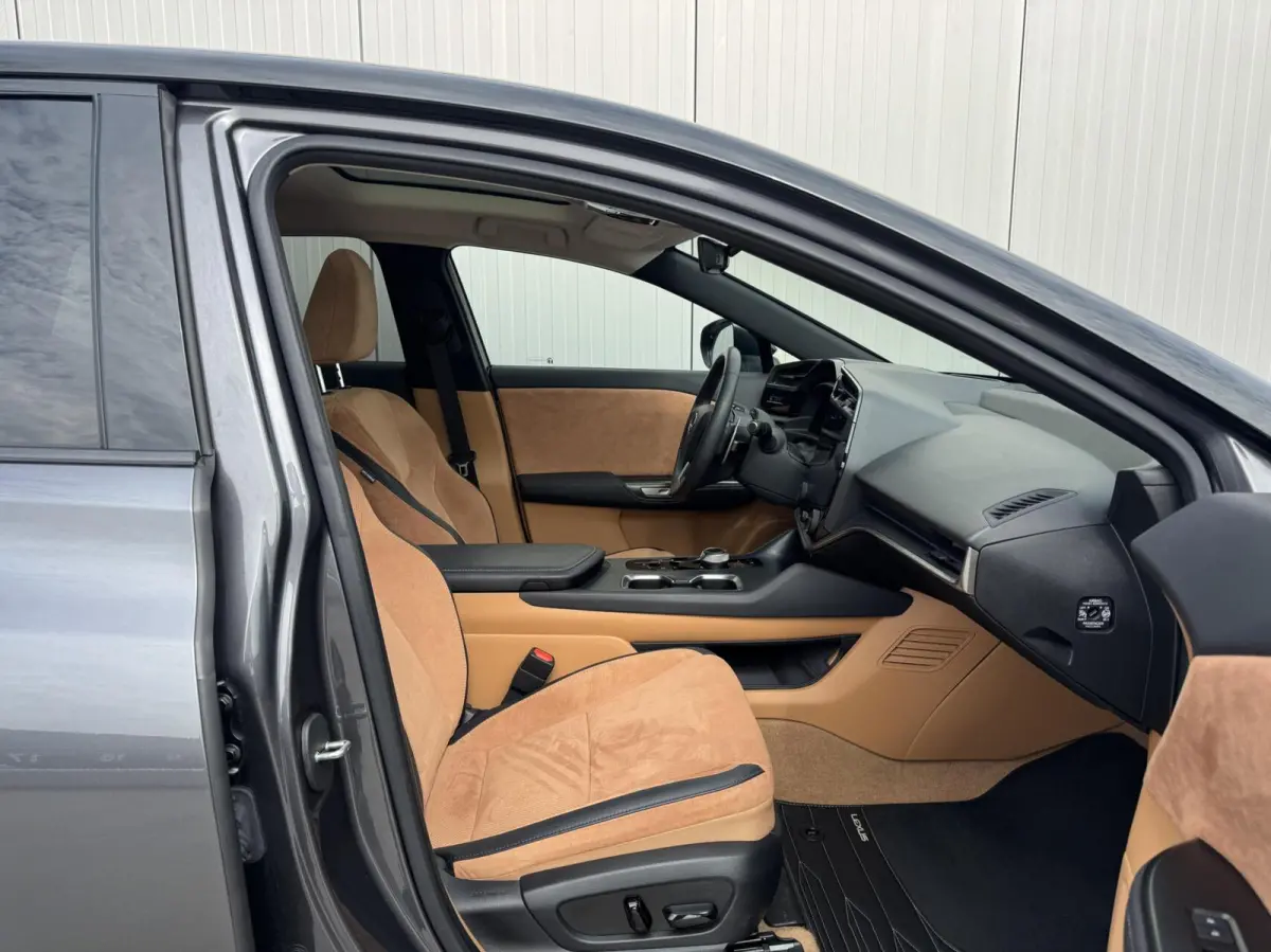 450e President Line 71 kWh|NL-Auto|Dealeronderhoud