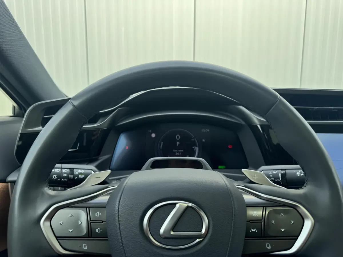 450e President Line 71 kWh|NL-Auto|Dealeronderhoud