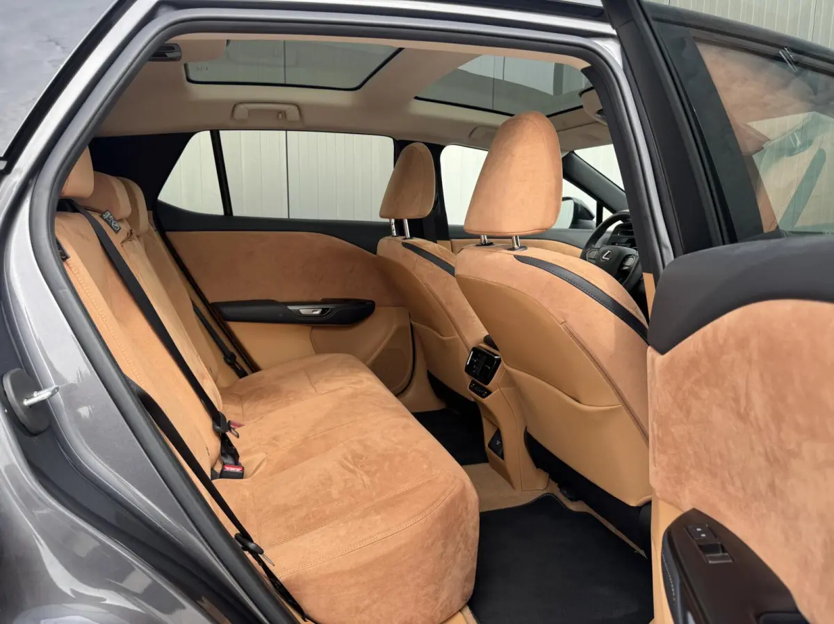 450e President Line 71 kWh|NL-Auto|Dealeronderhoud