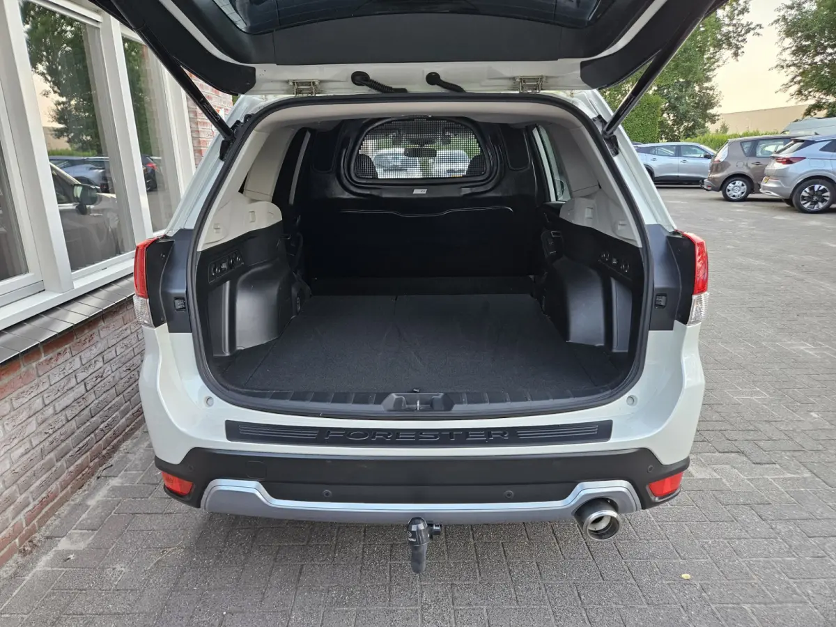 2.0 AWD Comfort Benzine/Grijs Kenteken! Trekhaak! Mooie/Nette Auto! Carplay! NAP! Uniek!