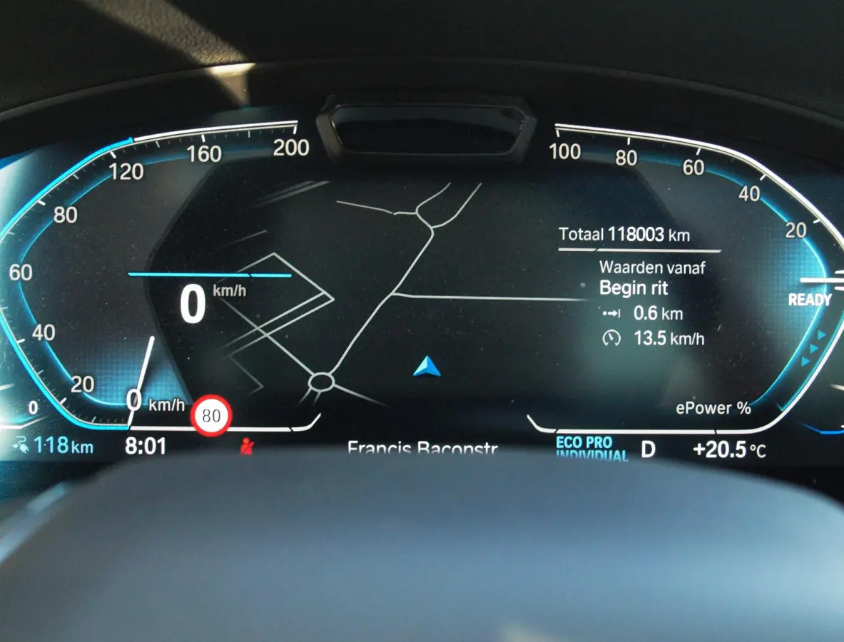 High Executive 80 kWh | Panoramadak | Head-Up Display | Harman Kardon | Sfeerverlichting | ACC | Apple Carplay |