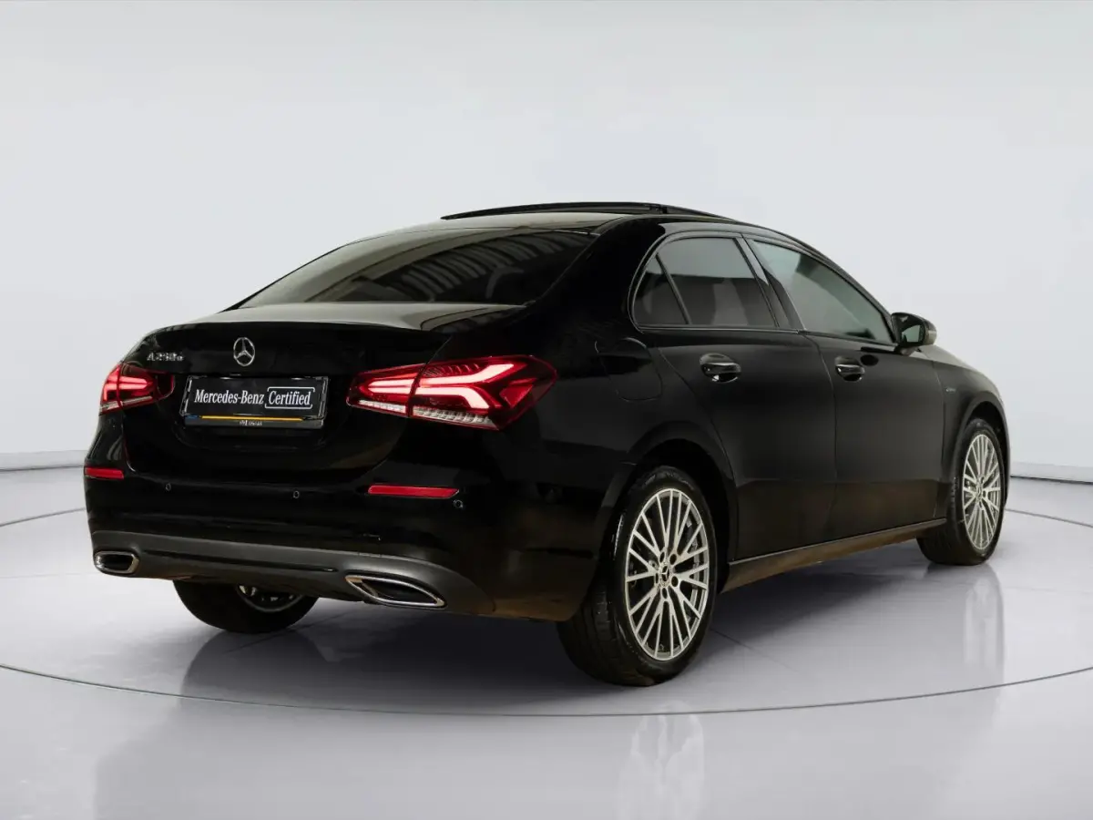 250 e Premium Plus | Panorama dak