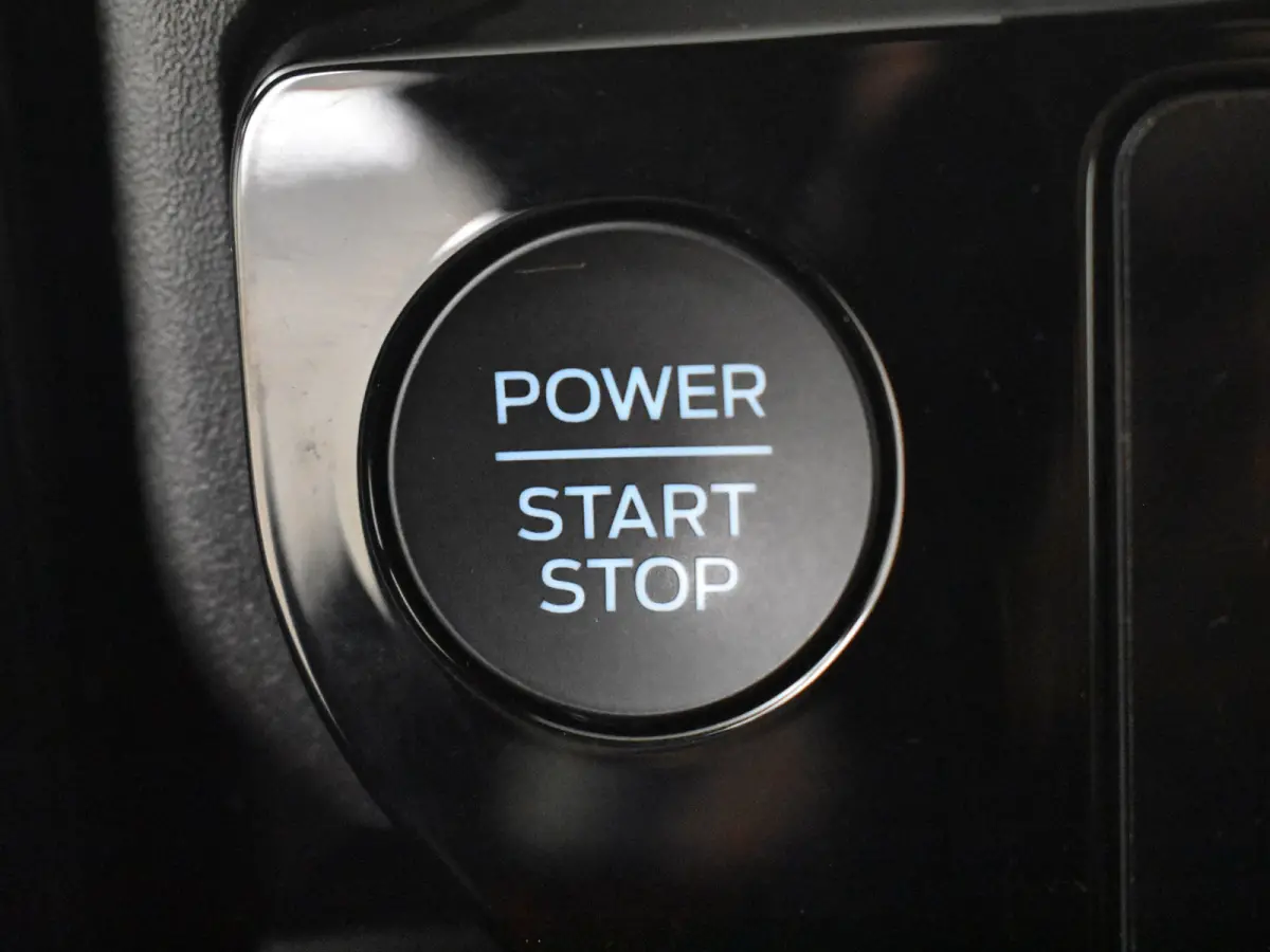 1.0 EcoBoost ST-Line 125PK AUTO | Achteruitrijcamera | Navigatie | Cruise control | Stoel/stuurverwarming | voorruit verwarming | DAB | LED | App Connect | 17"LMV