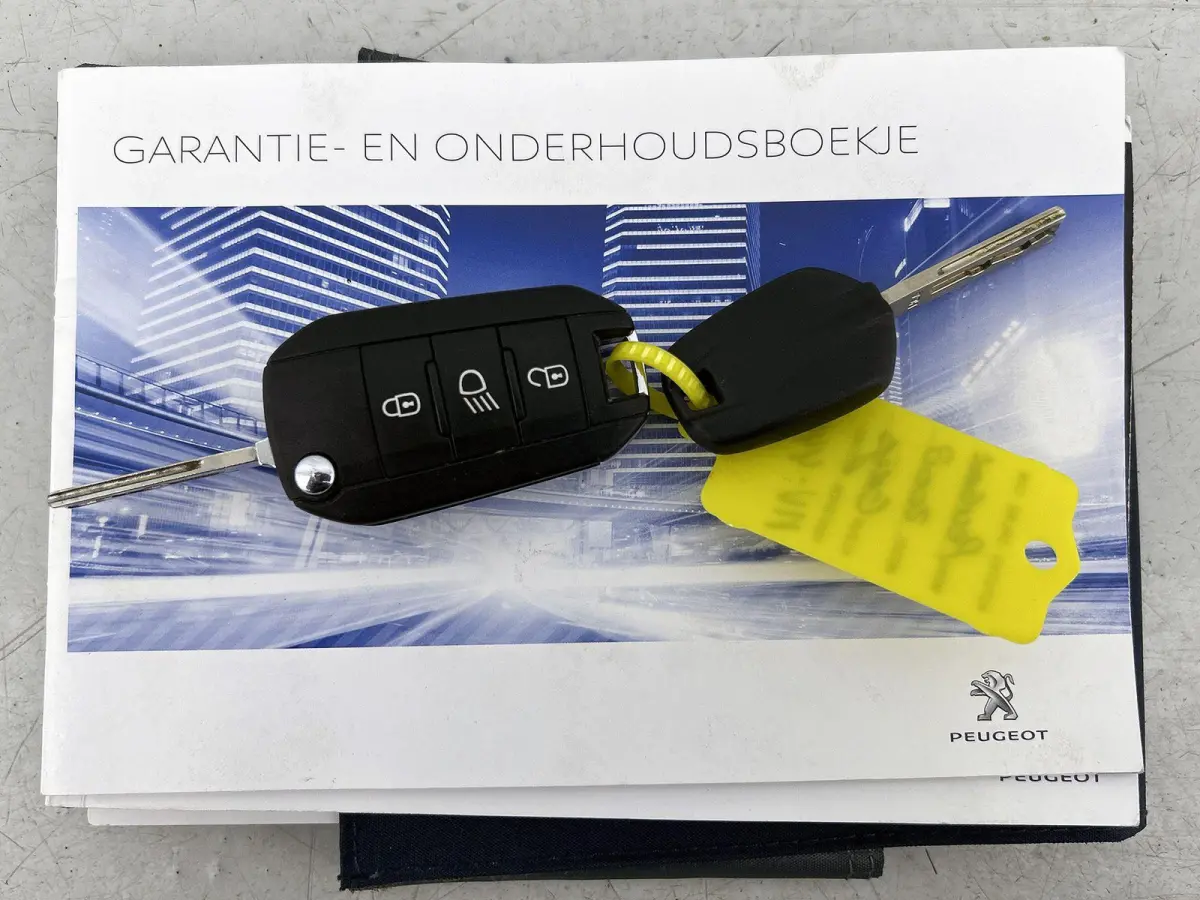 SUV Blue Lion 110pk | Lage kilometerstand! | 100% Dealeronderhouden | Navigatie | Airco | Cruise Control | Parkeersensoren | DAB+ radio | Bluetooth | Apple Carplay / Android Auto | Elektrisc