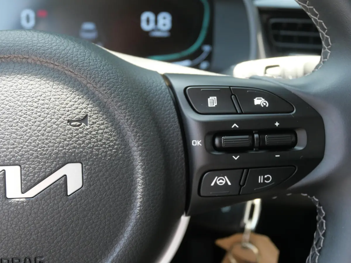 1.0 T-GDi MHEV DynamicLine | Cruise | Carplay | Navi | Climate |