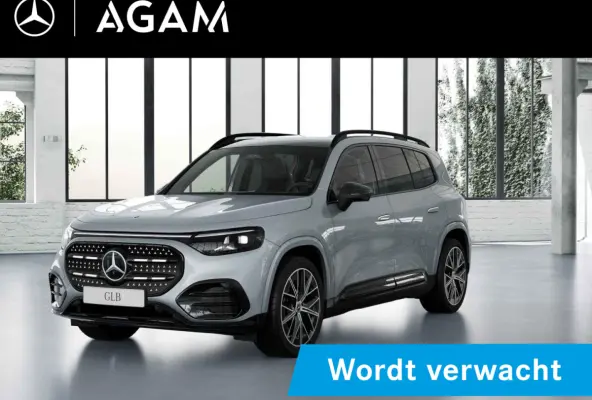 electric 250+ Business Solution AMG 85.5 kWh