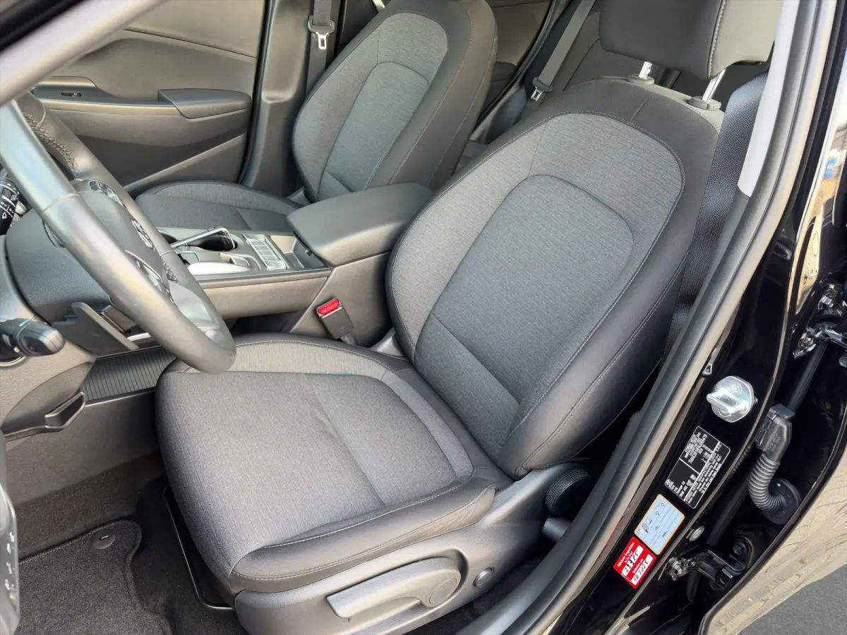 EV Comfort 39 kWh 136pk | SoH 97,9% | Camera | Carplay | Climate controle | Bestuurdersstoel in hoogte verstelbaar | Stoelverwarming | Stuurverwarming | Parkeersensoren | 17'' velgen