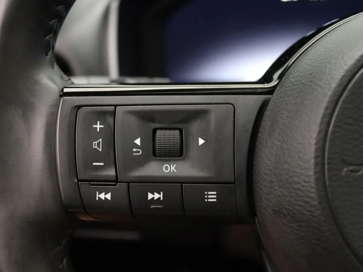 190pk e-Power N-Connecta Apple Carplay/Android Auto | Panoramadak