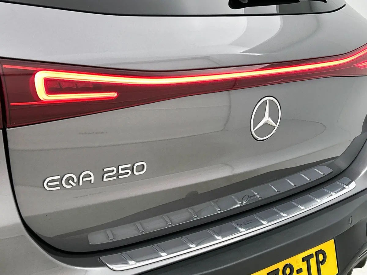 250 Business Solution AMG 67 kWh | Trekhaak