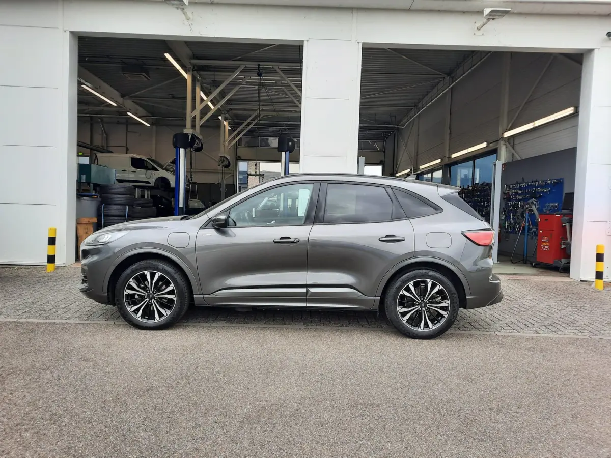 2.5 PHEV ST-Line Trekhaak - 19" velgen