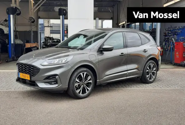 2.5 PHEV ST-Line Trekhaak - 19" velgen