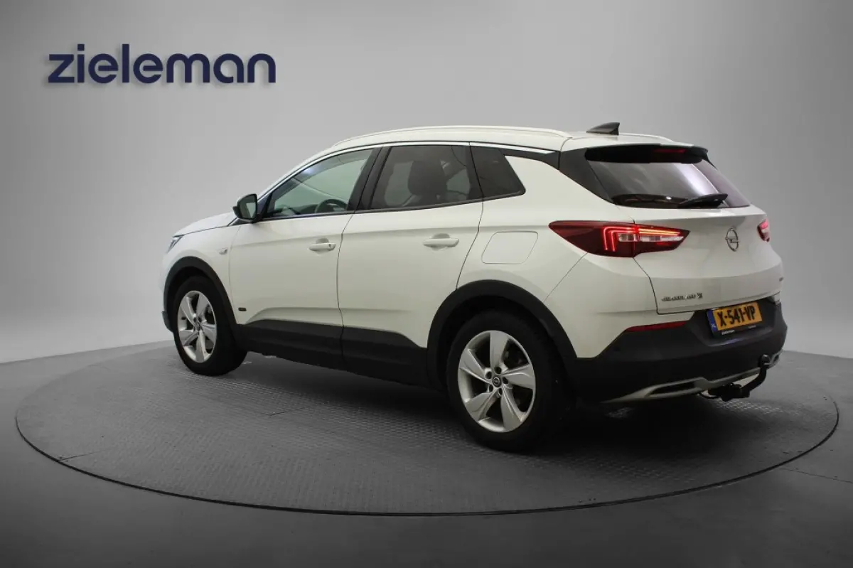 1.6 PHEV Hybrid Business Edition - Camera, Carplay, Trekhaak