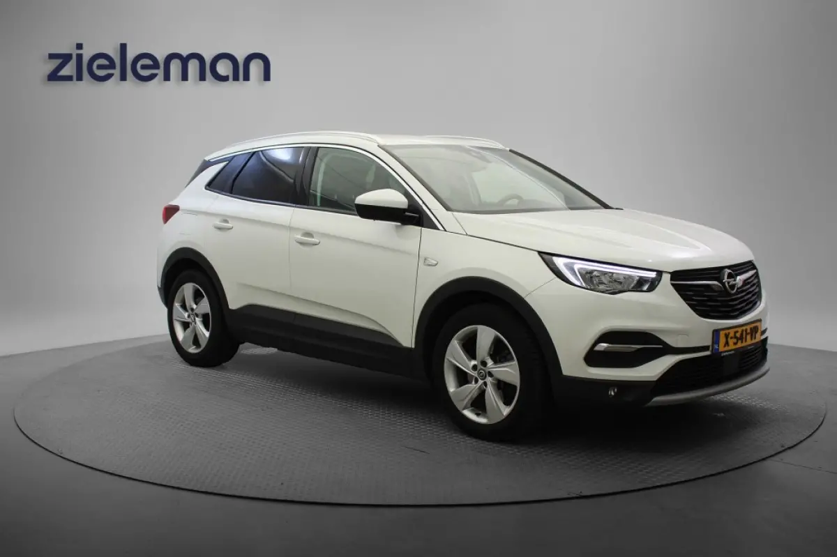 1.6 PHEV Hybrid Business Edition - Camera, Carplay, Trekhaak