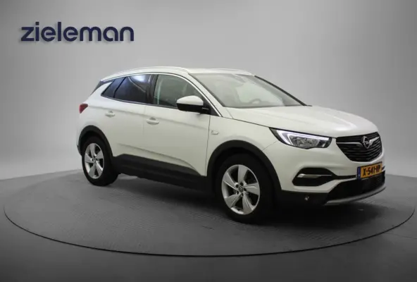 1.6 PHEV Hybrid Business Edition - Camera, Carplay, Trekhaak