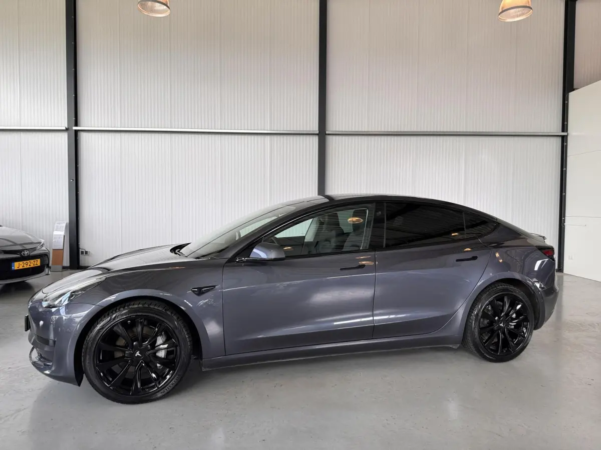Standard RWD Plus 60 kWh|SoH 87,3%|Leer|Panodak|Autopilot|