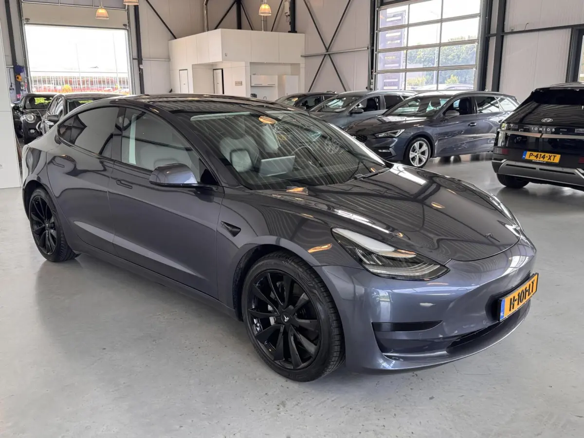 Standard RWD Plus 60 kWh|SoH 87,3%|Leer|Panodak|Autopilot|