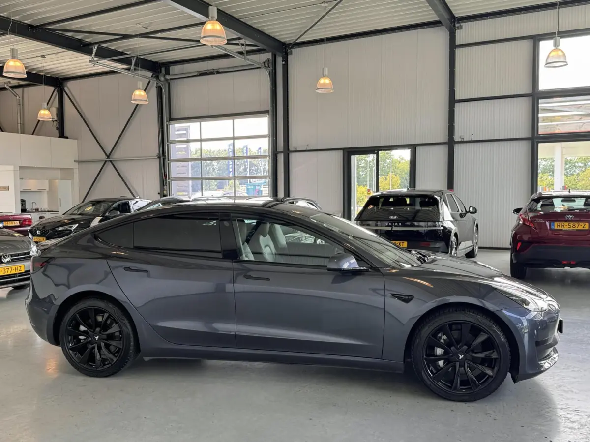 Standard RWD Plus 60 kWh|SoH 87,3%|Leer|Panodak|Autopilot|