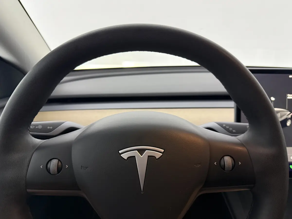 Long Range AWD 75 kWh | Snelladen | SOH 88% | Autopilot | Pano | Memory | Camera | Carplay