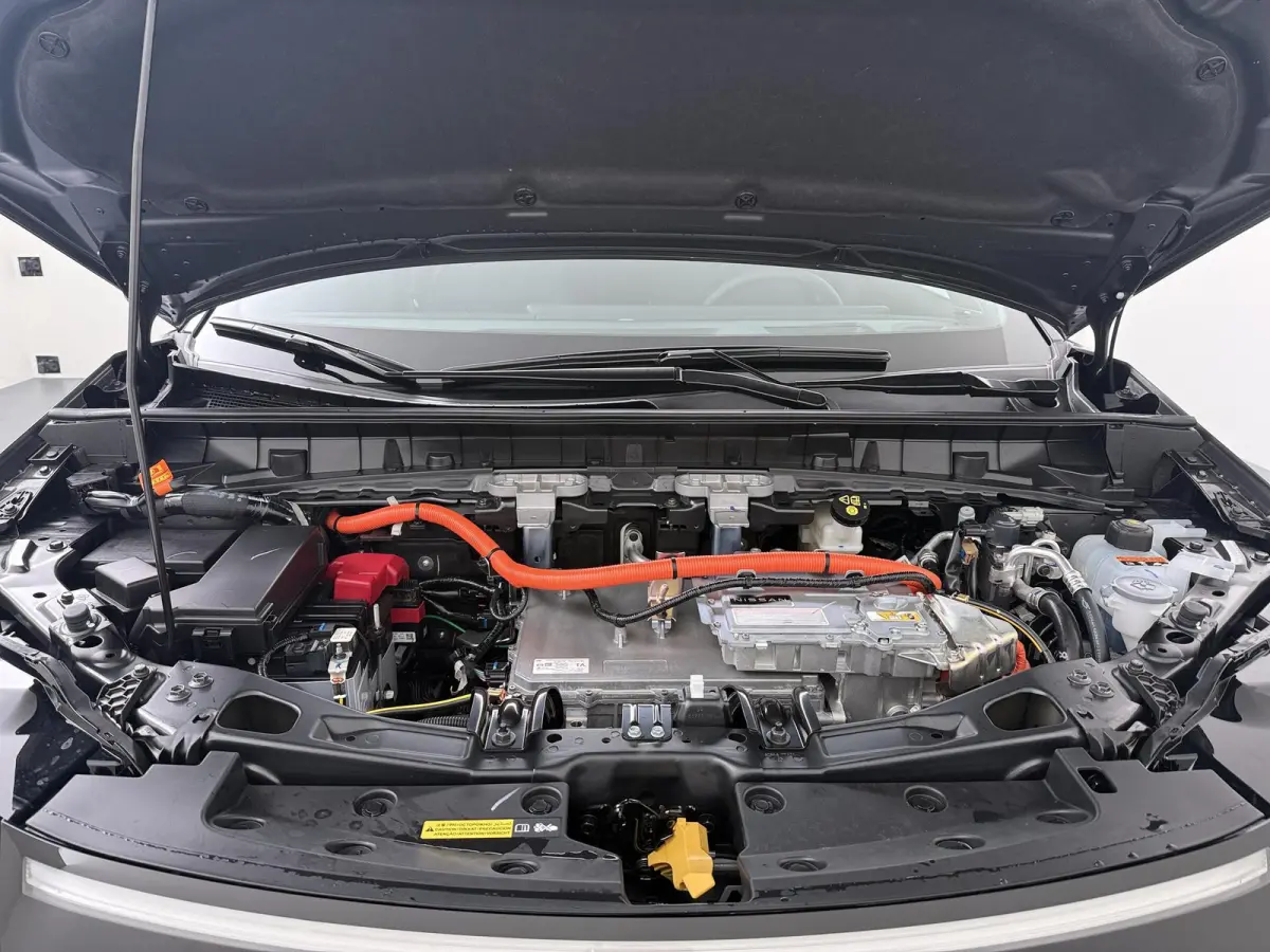 Evolve 52 kWh | Panoramadak | BOSE Audio | Lederen Bekl. |