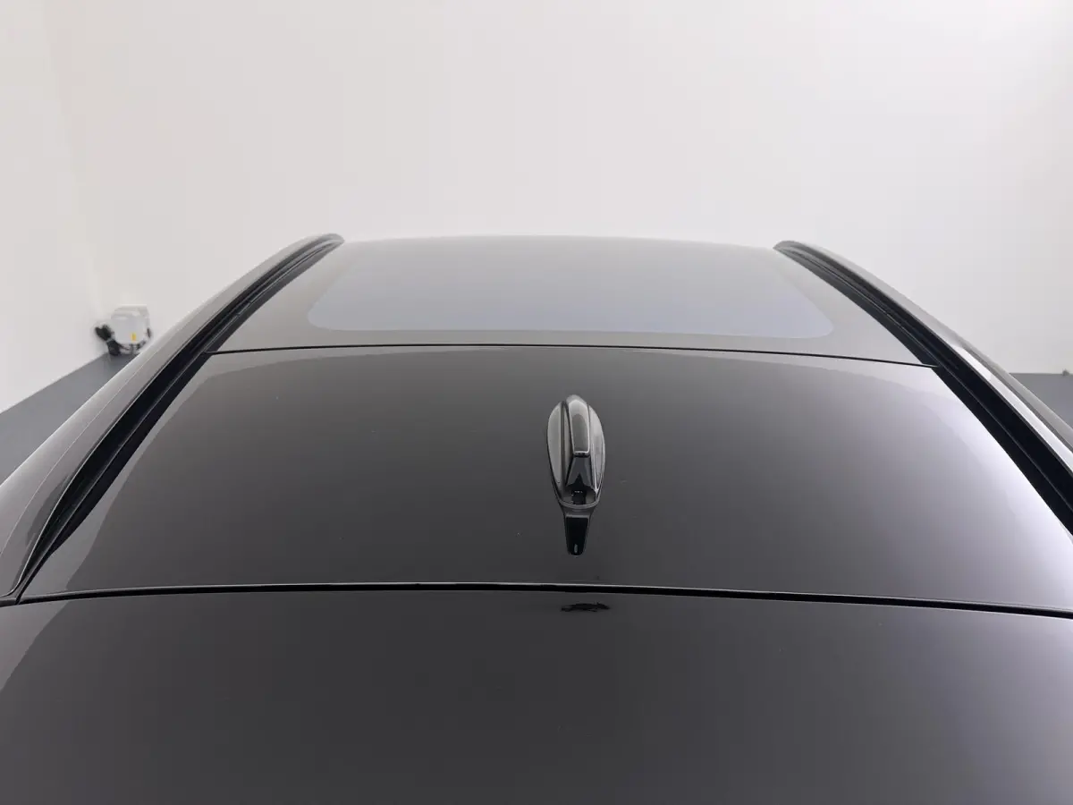 Evolve 52 kWh | Panoramadak | BOSE Audio | Lederen Bekl. |