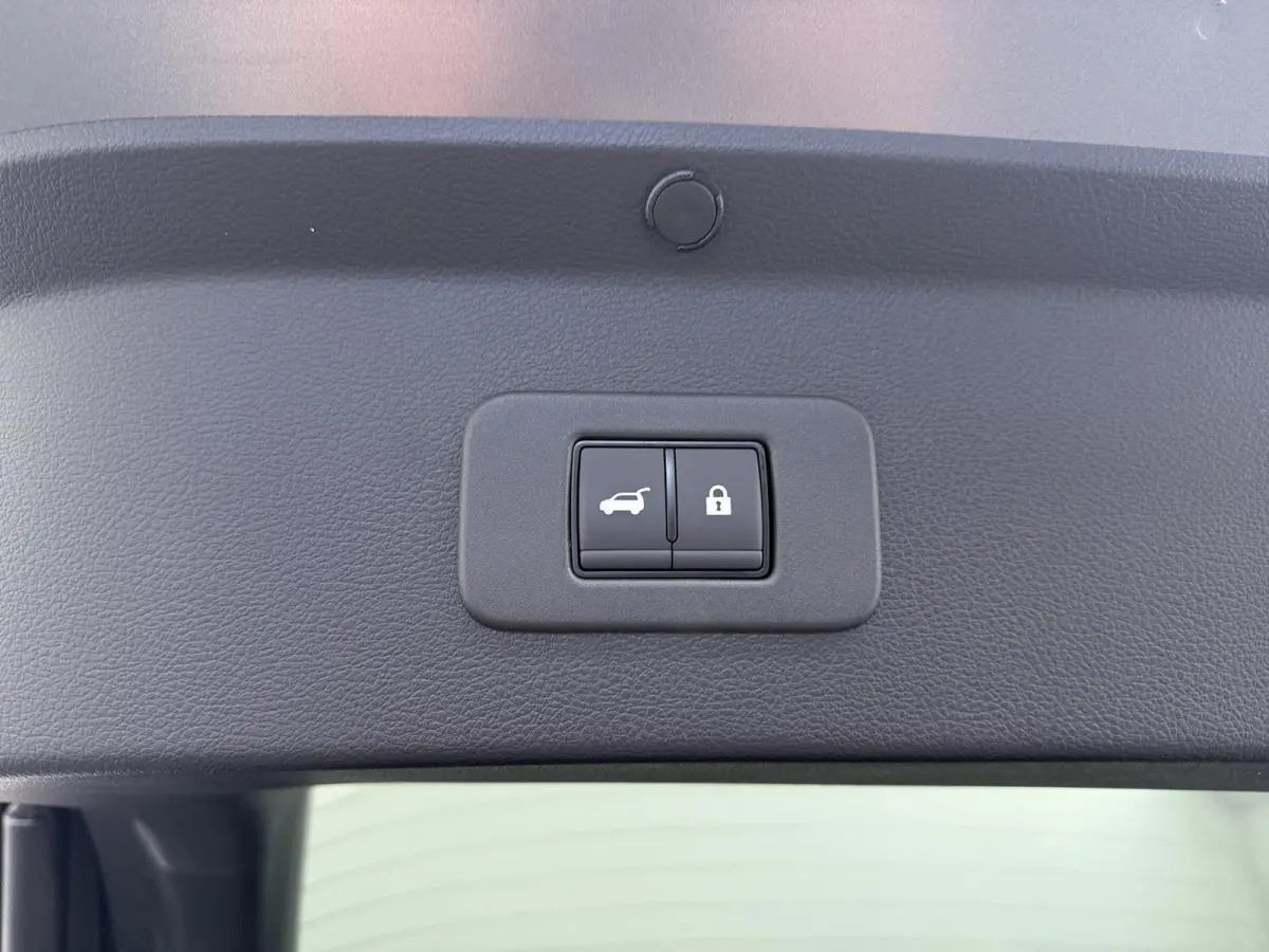 Evolve 52 kWh | Panoramadak | BOSE Audio | Lederen Bekl. |